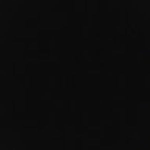 Meet your Posher, Dillon